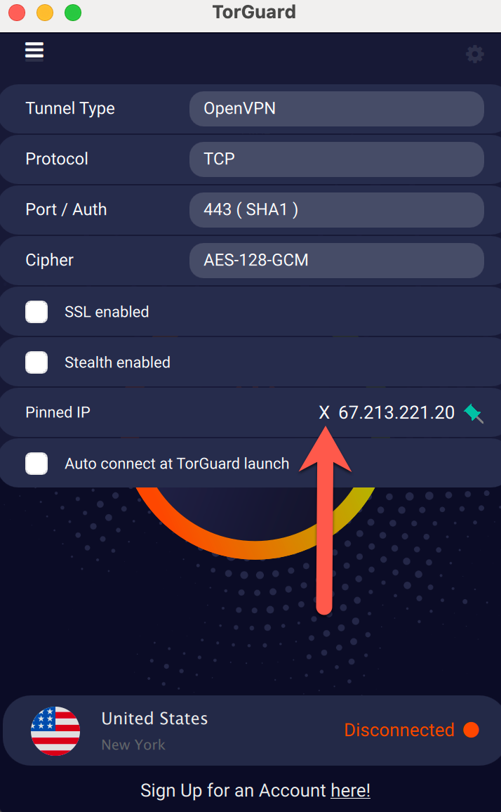IP Pinning