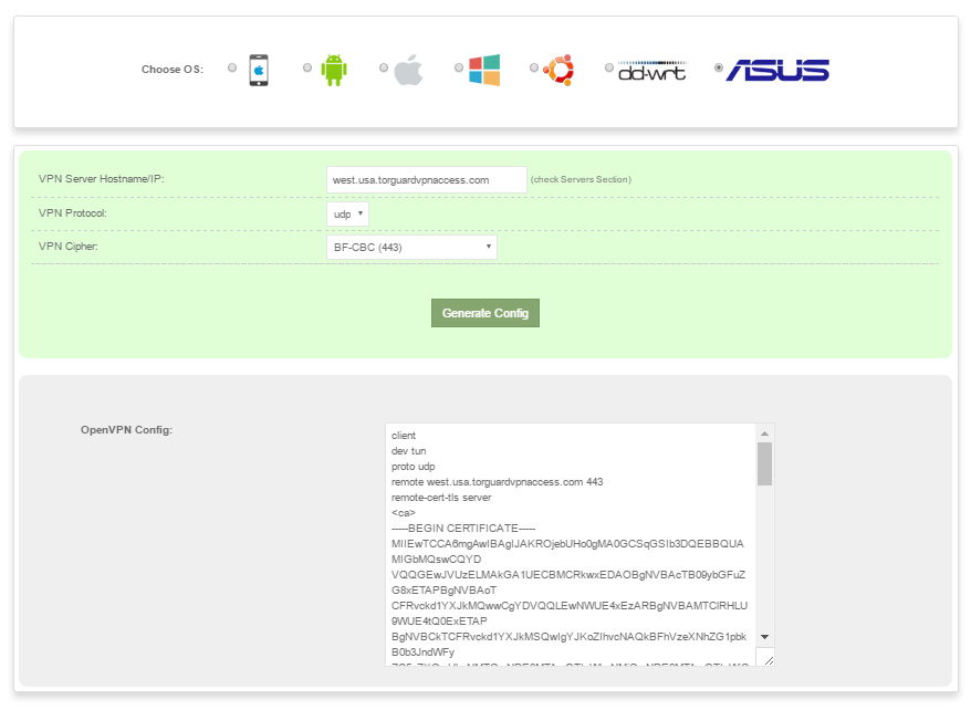 Custom WireGuard Config Import